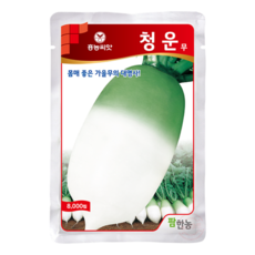 청운무