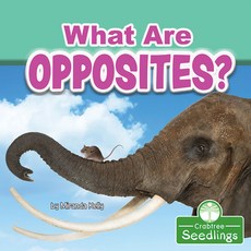What Are Opposites? Paperback, Crabtree Seedlings, English, 9781427128546