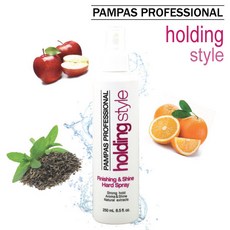 앱솔루트셋아이미피니싱스프레이울트라스타크