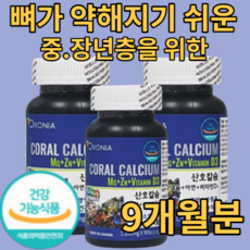 솔가칼슘마그네슘블루베리