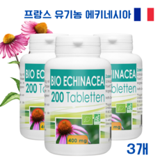 에키네시아 TOP01