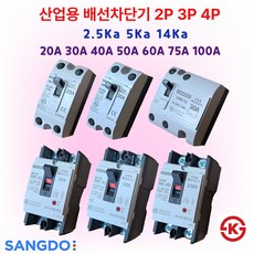 상도 산업용 배선 차단기 20A 30A 40A 50A 60A 75A 100A 2.5KA 5KA 14KA 2P 3P 4P, 20.배선 4P-50A 14KA, 1개