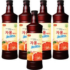 광야식품 자몽 베이스 970ml, 5개