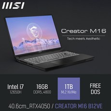 MSI CREATOR M16 B12VE [특가 이벤트], 블랙, 코어i7, 1TB, 16GB, FREE DOS