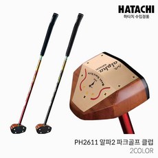 파크골프치는법