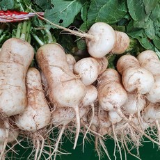 100%국산 30년 전통 전라도 총각김치, 2kg, 1개 - 이미지 5