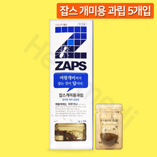 애집개미