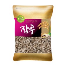 2021년 햇곡 새싹보리 씨앗 겉보리쌀 4kg, 1개