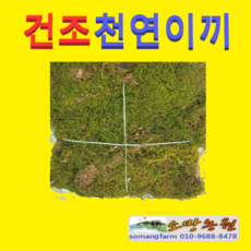 f9af746ca8b6e8cb8611447491ce722b136912cd64a495ae640fb7470e1e.png