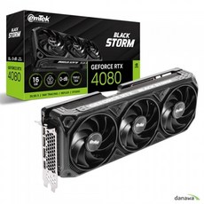 4080ti TOP01