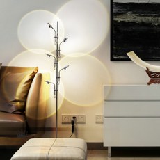 아르떼미데톨로메오