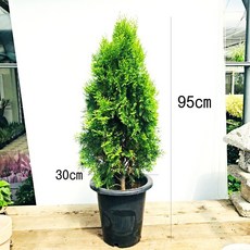 595db3ea9989382973db85c86825377c6a6a95f40af2c4b901431a1a1776.jpg