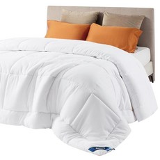 Bedsure 이불 충전재 - 퀼트 퀸 사이즈 사계절용 탭 포함 다운 대체 침구 화이트 2235cm x 2235cm88 88인치