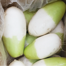 제주 월동무 제주무 산지직송 5kg 맛남의광장 판매 구매