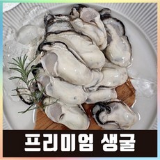 햇굴 생굴 당일작업 깐굴 굴 통영, 1개, 최상급(대) 2kg