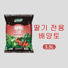 딸기상토