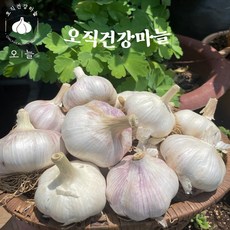 2023년 국내산 안깐마늘 대서통마늘 1kg / 3kg (중/대 사이즈 혼합)