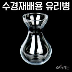 구근재배용유리용기