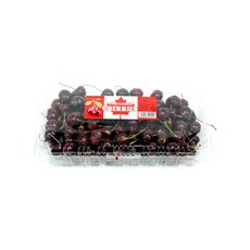 피에스케이인터내셔널체리 TOP01