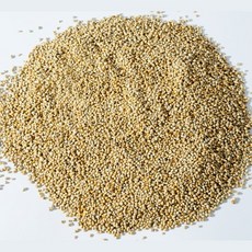 하선사료 하선사료 멸균 그린밀렛 / 반려조 멸균식품 개별알곡 새모이 간식, 비멸균 그린밀렛 300g