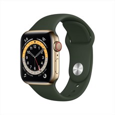 Apple 애플워치 6, 골드 스테인리스 스틸 케이스, 사이프러스 그린 스포츠 밴드, 40mm, GPS+Cellular