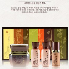 천지향 한방 화장품 산삼배양근 십장셍 크림 50ml *B!ust, 1개