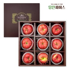 [당찬파머스] 실속있는 당도선별 사과 선물세트 1호 (3.2kg/9입), 1세트