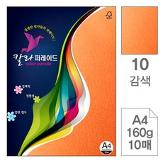 삼원)칼라퍼레이드(10.감색A4160g10매)-포(10권입), 단품