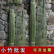 오색토마토
