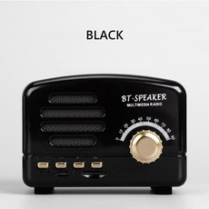 아남레트로스피커