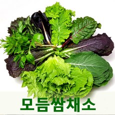 수경쌈야채