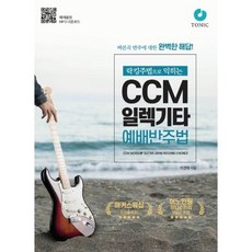 ccm일렉