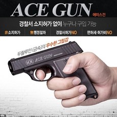 호신용가스총