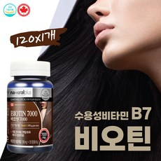 스트렝스라이프