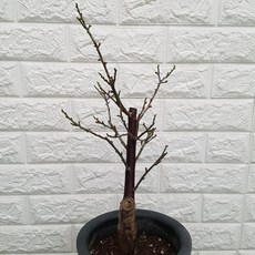 73bb4ce122273071cc6bfb7312d25528f5c7ab8920e4c347f1e410a56393.jpg
