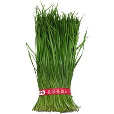믿을수 있는 우리 먹거리 영양부추 특 1단(250g내외) 이강산닷컴, 1개, 250g