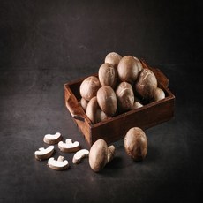 사랑농원 특등급 최고급 국내산 100% 참 송화버섯 1kg 최고등급 산지직송 당일재배 고기맛 슈퍼푸드 표고버섯 + 송이버섯 = 버섯왕 백화고 ( 표고버섯중 으뜸 ) 고송버섯 베타글루칸 레티난 비타민D 필수아미노산 명절선물 건강선물 귀한분께 선물하세요, 1개