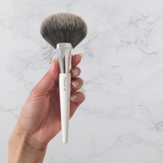 필리밀리빅팬브러쉬