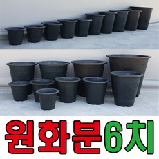 세이프24 원화분 나무화분 원형화분 국화분 꽃화분 블루베리화분, 1개, 검정