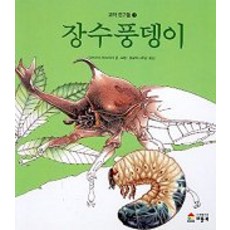 기탄풍뎅이그림책