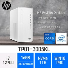 HP 파빌리온 TP01-3005kl, 1TB, 16GB, WIN10 Pro