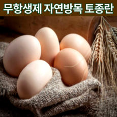 토종닭계란