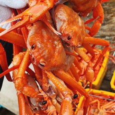 자숙 홍게 A급 수율 포항 박달홍게 박달 산지직송 당일조업, 1개, [정품/프리미엄]박달형홍게 3kg (9~11미)