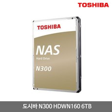 도시바nas