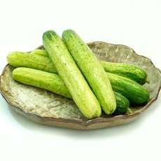 [국내산] 아삭한 백오이 백다다기 오이, 1개, 10kg