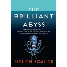 (영문도서) The Brilliant Abyss: Exploring the Majestic Hidden Life of the Deep Ocean and the Looming Th... Paperback, Atlantic Monthly Press, English, 9780802158239 Atlantic Monthly Press, English, 9780802158239