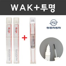 쌍용 컬러 붓펜+제투명 붓펜 2종 세트 자동차 붓 카 페인트, WAK 실키화이트펄+제투명붓펜 (당일발송)