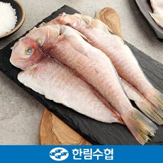 제주 한림수협 제주 특대 옥돔 5미 명품 세트 1.9kg(380g*5팩) / 옥돔 1.9kg(380g*5팩 ), 1개