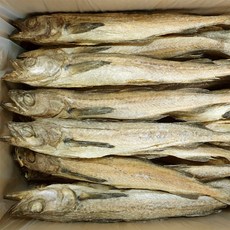 [하늘덕장/대용량/업소용] 용대리통황태 100마리 - 국내건조, 특대(44-46cm), 1박스, 9.5kg