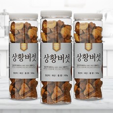 [채울농산]국산100% 장수 상황버섯(baumii 최상품) 1개월분, 1개, 100g